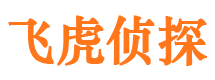 綦江外遇调查取证